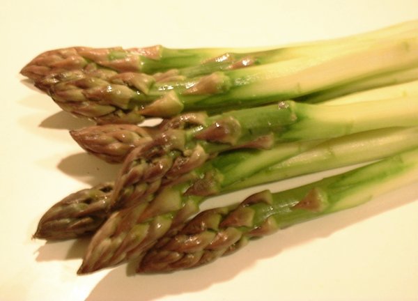 Asperge — photo (Wikipédia)